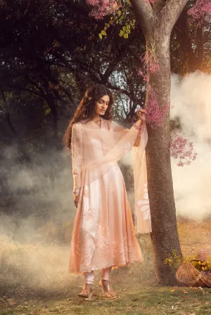 Blush Pink Anarkali Set