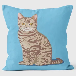 Tabby Cat - Paperlollipop Cushion